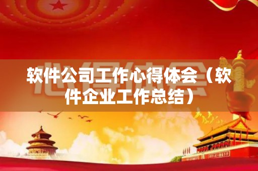 软件公司工作心得体会（软件企业工作总结）