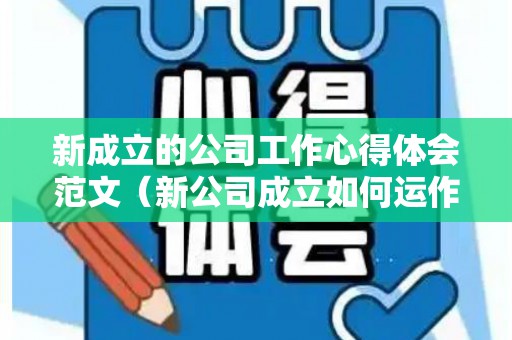 新成立的公司工作心得体会范文（新公司成立如何运作）