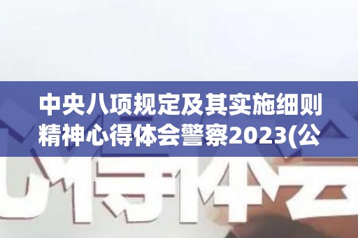 中央八项规定及其实施细则精神心得体会警察2023(公安民警中央八项规定心得体会)