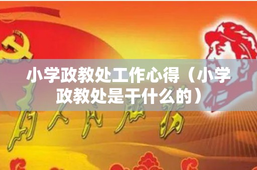 小学政教处工作心得（小学政教处是干什么的）