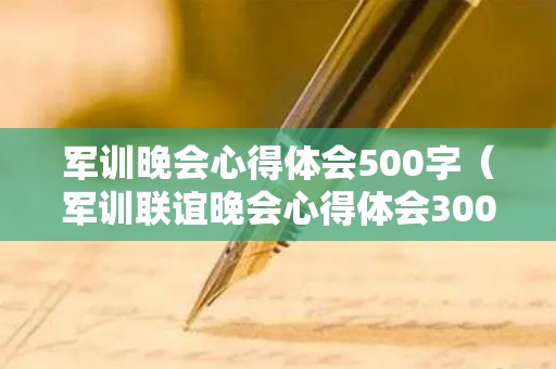 军训晚会心得体会500字（军训联谊晚会心得体会300字）