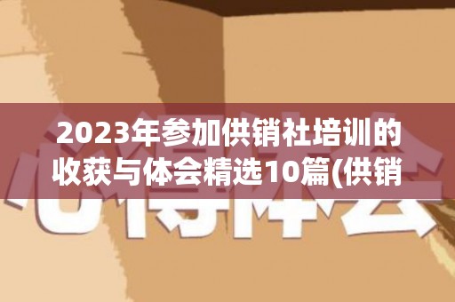 2023年参加供销社培训的收获与体会精选10篇(供销社培训班)