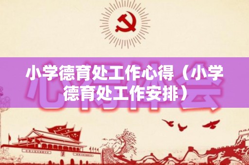 小学德育处工作心得（小学德育处工作安排）