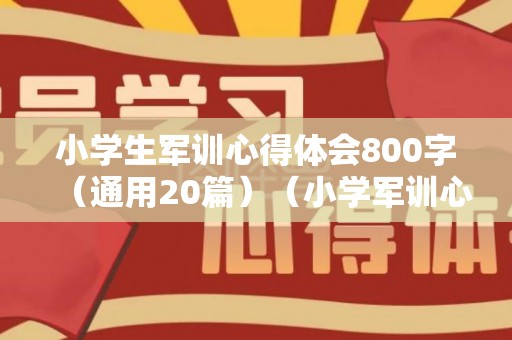 小学生军训心得体会800字（通用20篇）（小学军训心得体会600）