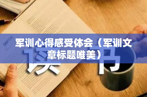军训心得感受体会（军训文章标题唯美）