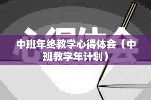 中班年终教学心得体会（中班教学年计划）