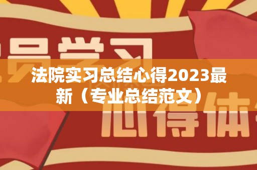 法院实习总结心得2023最新（专业总结范文）