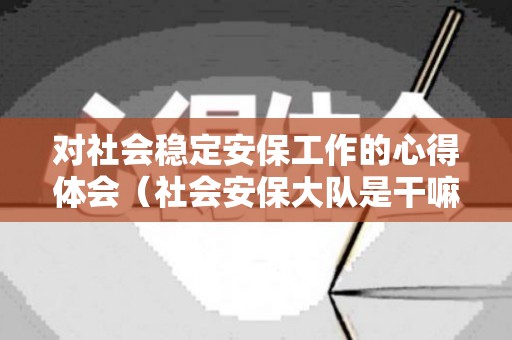 对社会稳定安保工作的心得体会（社会安保大队是干嘛的）