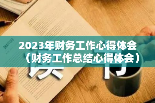 2023年财务工作心得体会（财务工作总结心得体会）