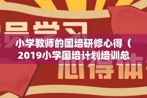 小学教师的国培研修心得（2019小学国培计划培训总结）