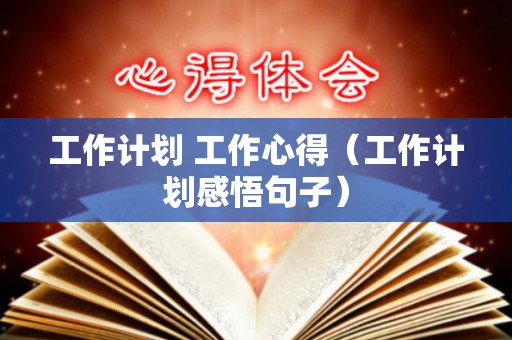 工作计划 工作心得（工作计划感悟句子）