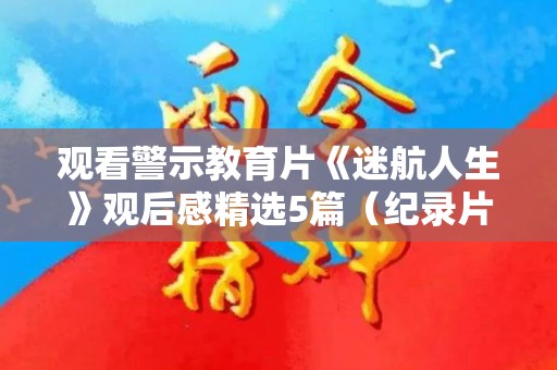 观看警示教育片《迷航人生》观后感精选5篇（纪录片 迷航）