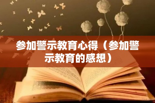 参加警示教育心得（参加警示教育的感想）