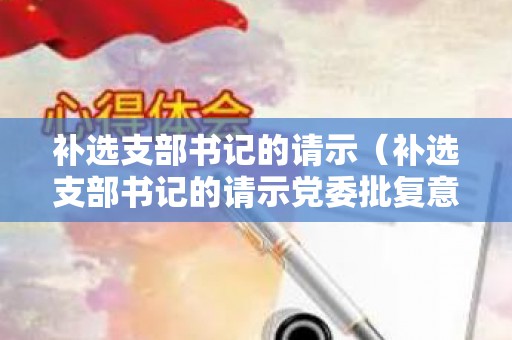 补选支部书记的请示（补选支部书记的请示党委批复意见）
