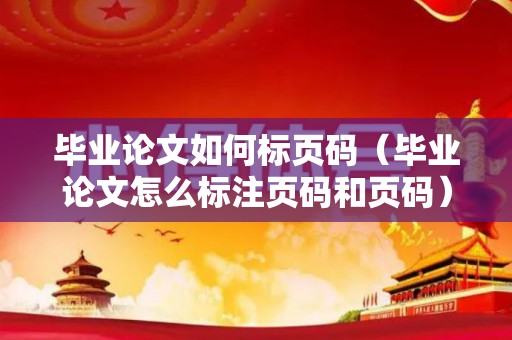 毕业论文如何标页码（毕业论文怎么标注页码和页码）