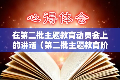 在第二批主题教育动员会上的讲话（第二批主题教育阶段性汇报）