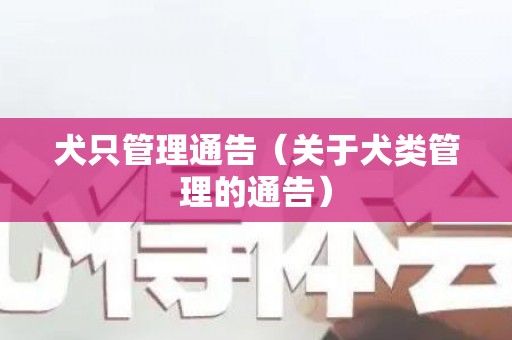 犬只管理通告（关于犬类管理的通告）