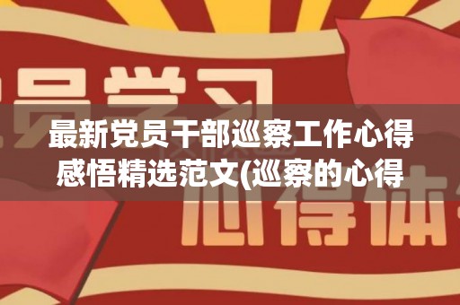 最新党员干部巡察工作心得感悟精选范文(巡察的心得体会)