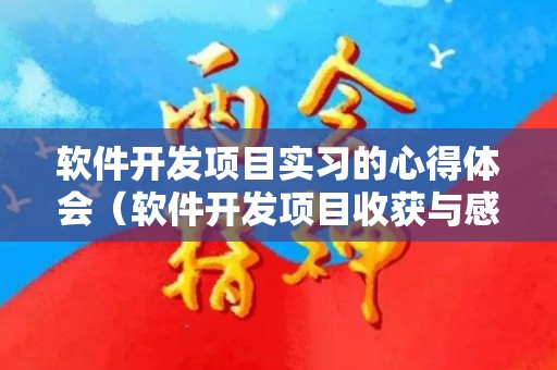 软件开发项目实习的心得体会（软件开发项目收获与感悟总结怎么写范文）