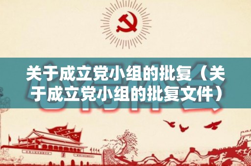 关于成立党小组的批复（关于成立党小组的批复文件）