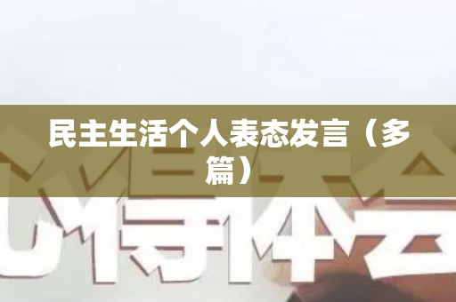 民主生活个人表态发言（多篇）