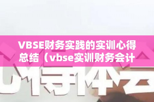 VBSE财务实践的实训心得总结（vbse实训财务会计心得体会）