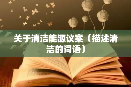关于清洁能源议案（描述清洁的词语）