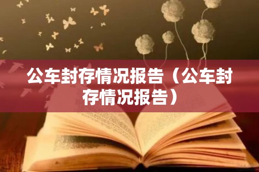 公车封存情况报告（公车封存情况报告）