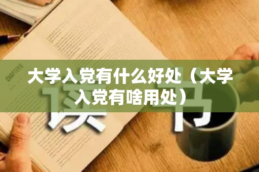 大学入党有什么好处（大学入党有啥用处）