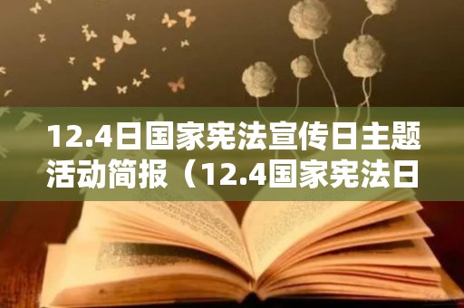 12.4日国家宪法宣传日主题活动简报（12.4国家宪法日宣传资料）