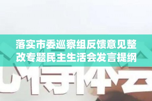 落实市委巡察组反馈意见整改专题民主生活会发言提纲(巡察反馈意见整改落实情况汇报)