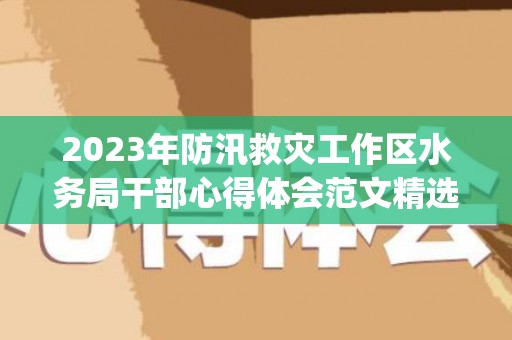 2023年防汛救灾工作区水务局干部心得体会范文精选3篇(水利局防汛工作汇报)