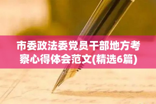 市委政法委党员干部地方考察心得体会范文(精选6篇)(政法委副书记考察材料)