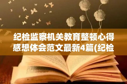 纪检监察机关教育整顿心得感想体会范文最新4篇(纪检监察政法教育整顿方案)