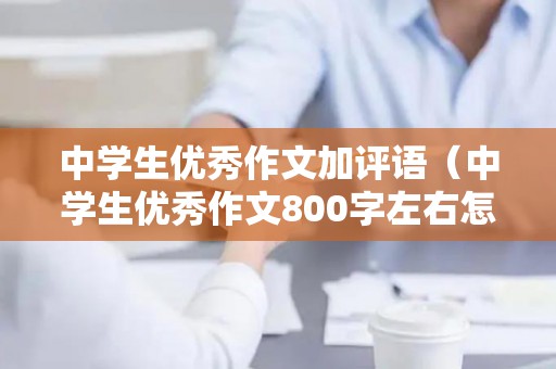 中学生优秀作文加评语（中学生优秀作文800字左右怎么写）