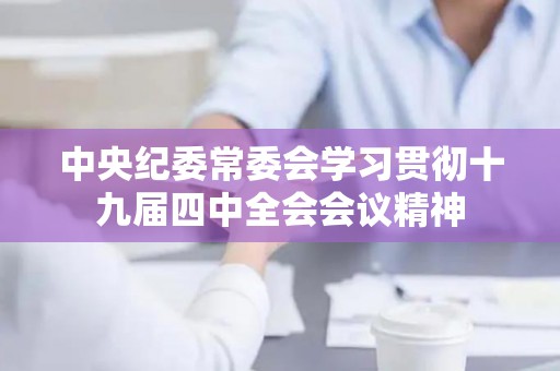 中央纪委常委会学习贯彻十九届四中全会会议精神