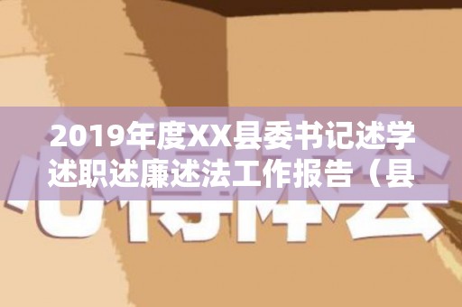2019年度XX县委书记述学述职述廉述法工作报告（县领导述职述德述廉报告）