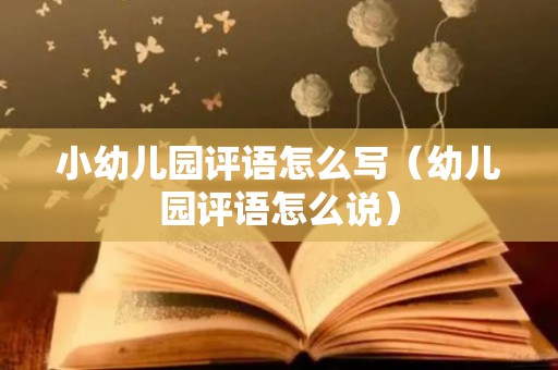 小幼儿园评语怎么写（幼儿园评语怎么说）