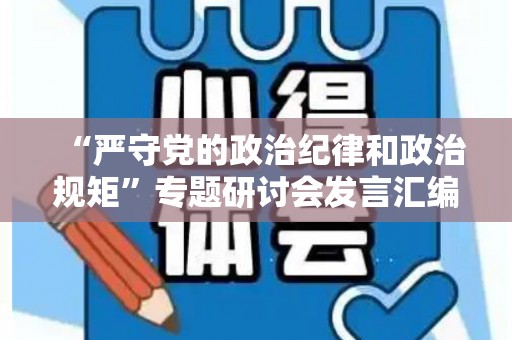 “严守党的政治纪律和政治规矩”专题研讨会发言汇编（严守党的政治纪律讨论发言简短精辟）