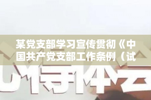 某党支部学习宣传贯彻《中国共产党支部工作条例（试行）》的自查报告（党支部宣传工作总结2021）