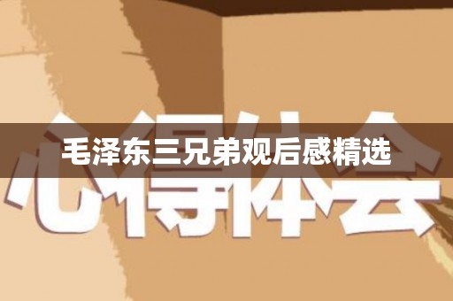 毛泽东三兄弟观后感精选