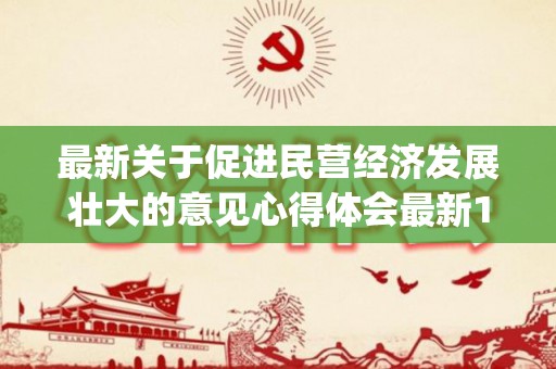最新关于促进民营经济发展壮大的意见心得体会最新17篇(企业如何促进民营经济发展)