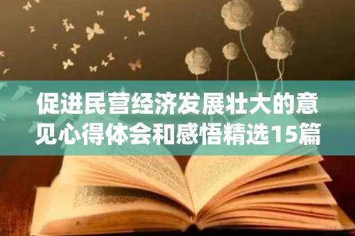 促进民营经济发展壮大的意见心得体会和感悟精选15篇(关于促进民营经济)