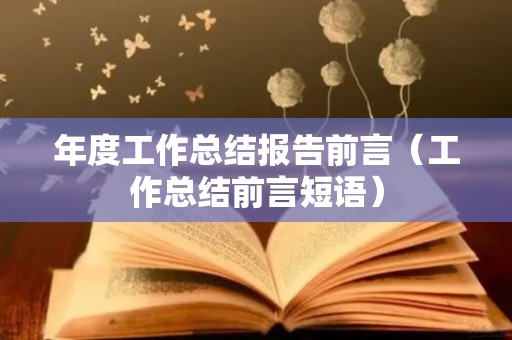 年度工作总结报告前言（工作总结前言短语）