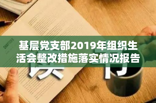 基层党支部2019年组织生活会整改措施落实情况报告（党支部2021年组织生活会整改措施及效果）