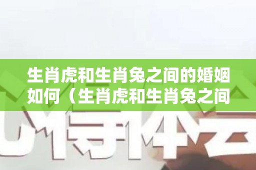 生肖虎和生肖兔之间的婚姻如何（生肖虎和生肖兔之间的姻缘如何）