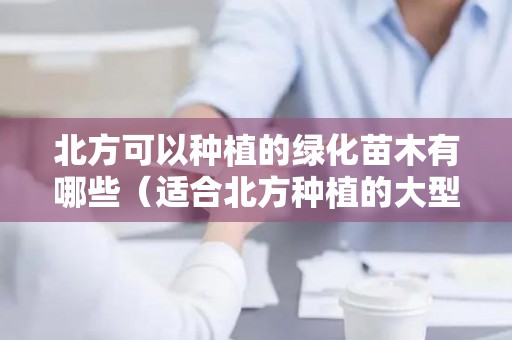 北方可以种植的绿化苗木有哪些（适合北方种植的大型绿植品种）