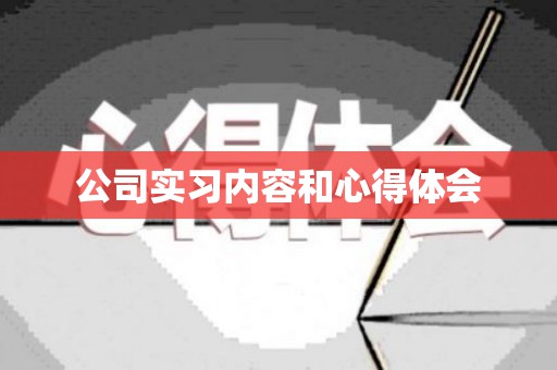 公司实习内容和心得体会