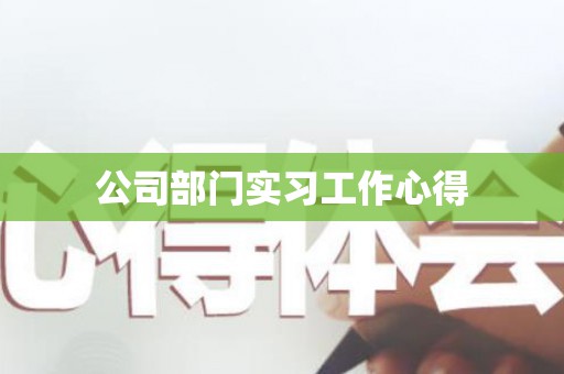 公司部门实习工作心得