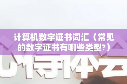 计算机数字证书词汇（常见的数字证书有哪些类型?）
